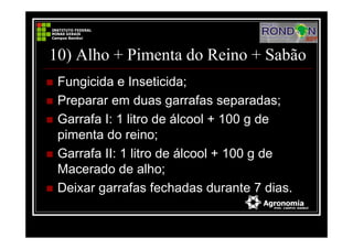 10) Alho + Pimenta do Reino + Sabão
Fungicida e Inseticida;
Preparar em duas garrafas separadas;
Garrafa I: 1 litro de álcool + 100 g de
pimenta do reino;
Garrafa II: 1 litro de álcool + 100 g de
Macerado de alho;
Deixar garrafas fechadas durante 7 dias.
 