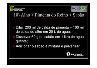 10) Alho + Pimenta do Reino + Sabão
Diluir 200 ml de calda de pimenta + 100 ml
de calda de alho em 20 L de água;
Dissolver 50 g de sabão em 1 litro de água
quente;
Adicionar o sabão a mistura e pulverizar.
 