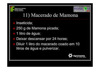 11) Macerado de Mamona
Inseticida;
250 g de Mamona picada;
1 litro de água;
Deixar descansar por 24 horas;
Diluir 1 litro do macerado coado em 10
litros de água e pulverizar.
 