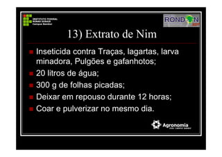 13) Extrato de Nim
Inseticida contra Traças, lagartas, larva
minadora, Pulgões e gafanhotos;
20 litros de água;
300 g de folhas picadas;
Deixar em repouso durante 12 horas;
Coar e pulverizar no mesmo dia.
 