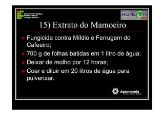15) Extrato do Mamoeiro
Fungicida contra Míldio e Ferrugem do
Cafeeiro;
700 g de folhas batidas em 1 litro de água;
Deixar de molho por 12 horas;
Coar e diluir em 20 litros de água para
pulverizar.
 