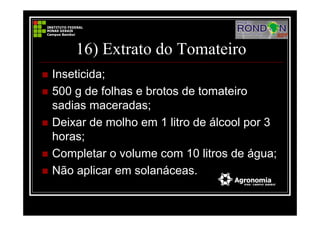 16) Extrato do Tomateiro
Inseticida;
500 g de folhas e brotos de tomateiro
sadias maceradas;
Deixar de molho em 1 litro de álcool por 3
horas;
Completar o volume com 10 litros de água;
Não aplicar em solanáceas.
 