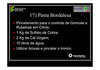 17) Pasta Bordalesa
Pincelamento para o controle de Gomose e
Rubelose em Citros;
1 Kg de Sulfato de Cobre;
2 Kg de Cal Virgem;
10 litros de água;
Utilizar broxas e pincelar o tronco.
 
