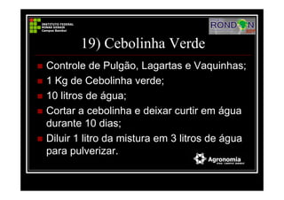 19) Cebolinha Verde
Controle de Pulgão, Lagartas e Vaquinhas;
1 Kg de Cebolinha verde;
10 litros de água;
Cortar a cebolinha e deixar curtir em água
durante 10 dias;
Diluir 1 litro da mistura em 3 litros de água
para pulverizar.
 