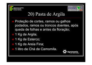 20) Pasta de Argila
Proteção de cortes, ramos ou galhos
podados, ramos ou troncos doentes, após
queda de folhas e antes da floração;
1 Kg de Argila;
1 Kg de Esterco;
1 Kg de Areia Fina;
1 litro de Chá de Camomila.
 