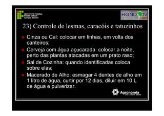 23) Controle de lesmas, caracóis e tatuzinhos
Cinza ou Cal: colocar em linhas, em volta dos
canteiros;
Cerveja com água açucarada: colocar a noite,
perto das plantas atacadas em um prato raso;
Sal de Cozinha: quando identificadas coloca
sobre elas;
Macerado de Alho: esmagar 4 dentes de alho em
1 litro de água, curtir por 12 dias, diluir em 10 L
de água e pulverizar.
 