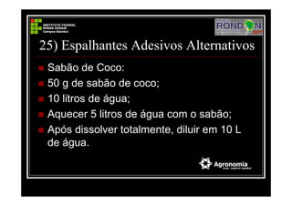 25) Espalhantes Adesivos Alternativos
Sabão de Coco:
50 g de sabão de coco;
10 litros de água;
Aquecer 5 litros de água com o sabão;
Após dissolver totalmente, diluir em 10 L
de água.
 