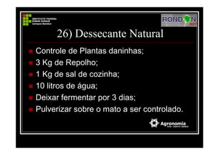 26) Dessecante Natural
Controle de Plantas daninhas;
3 Kg de Repolho;
1 Kg de sal de cozinha;
10 litros de água;
Deixar fermentar por 3 dias;
Pulverizar sobre o mato a ser controlado.
 