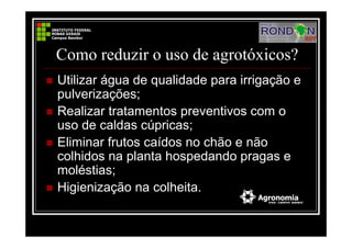 Como reduzir o uso de agrotóxicos?
Utilizar água de qualidade para irrigação e
pulverizações;
Realizar tratamentos preventivos com o
uso de caldas cúpricas;
Eliminar frutos caídos no chão e não
colhidos na planta hospedando pragas e
moléstias;
Higienização na colheita.
 
