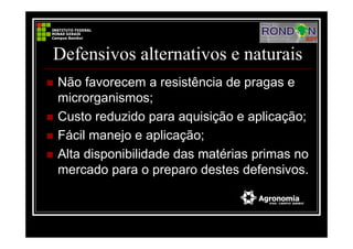 Defensivos alternativos e naturais
Não favorecem a resistência de pragas e
microrganismos;
Custo reduzido para aquisição e aplicação;
Fácil manejo e aplicação;
Alta disponibilidade das matérias primas no
mercado para o preparo destes defensivos.
 