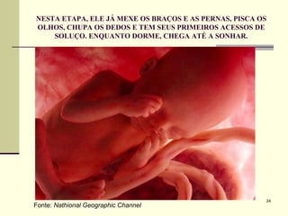NESTA ETAPA, ELE JÁ MEXE OS BRAÇOS E AS PERNAS, PISCA OS OLHOS, CHUPA OS DEDOS E TEM SEUS PRIMEIROS ACESSOS DE SOLUÇO. ENQUANTO DORME, CHEGA ATÉ A SONHAR. Fonte:  Nathional Geographic Channel 