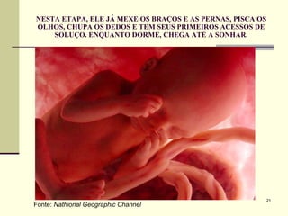 NESTA ETAPA, ELE JÁ MEXE OS BRAÇOS E AS PERNAS, PISCA OS OLHOS, CHUPA OS DEDOS E TEM SEUS PRIMEIROS ACESSOS DE SOLUÇO. ENQUANTO DORME, CHEGA ATÉ A SONHAR. Fonte:  Nathional Geographic Channel 