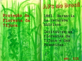Proteção da Floresta da Tijuca. 
séc. XIX 
1861. Garantia de recursos hídricos. 
Intitui-seas florestas da Tijuca e das Paineiras.  