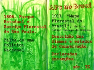 1896. Parque Estadual e Serviço Florestal de São Paulo. 
Falta de uma Política Nacional. 
1911. “Mapa Florestal do Brasil”, de Luís Felipe Gonzaga de Campos. 
Descrição dos Biomas e estados de Conservação. 
Declaradas intenções. 
séc. XX  