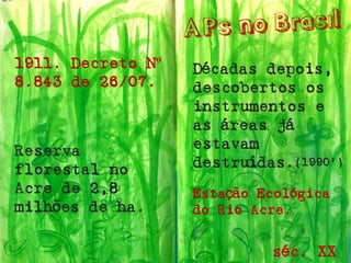 1911. Decreto Nº 8.843 de 26/07. 
Reserva florestal no Acre de 2,8 milhões de ha. 
séc. XX 
Estação Ecológica do Rio Acre. 
Décadas depois, descobertos os instrumentos e as áreas já estavam destruídas. 
(1990’)  