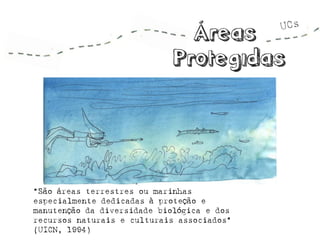 “São áreas terrestres ou marinhas especialmente dedicadas à proteção e manutenção da diversidade biológica e dos recursos naturais e culturais associados” (UICN, 1994)  