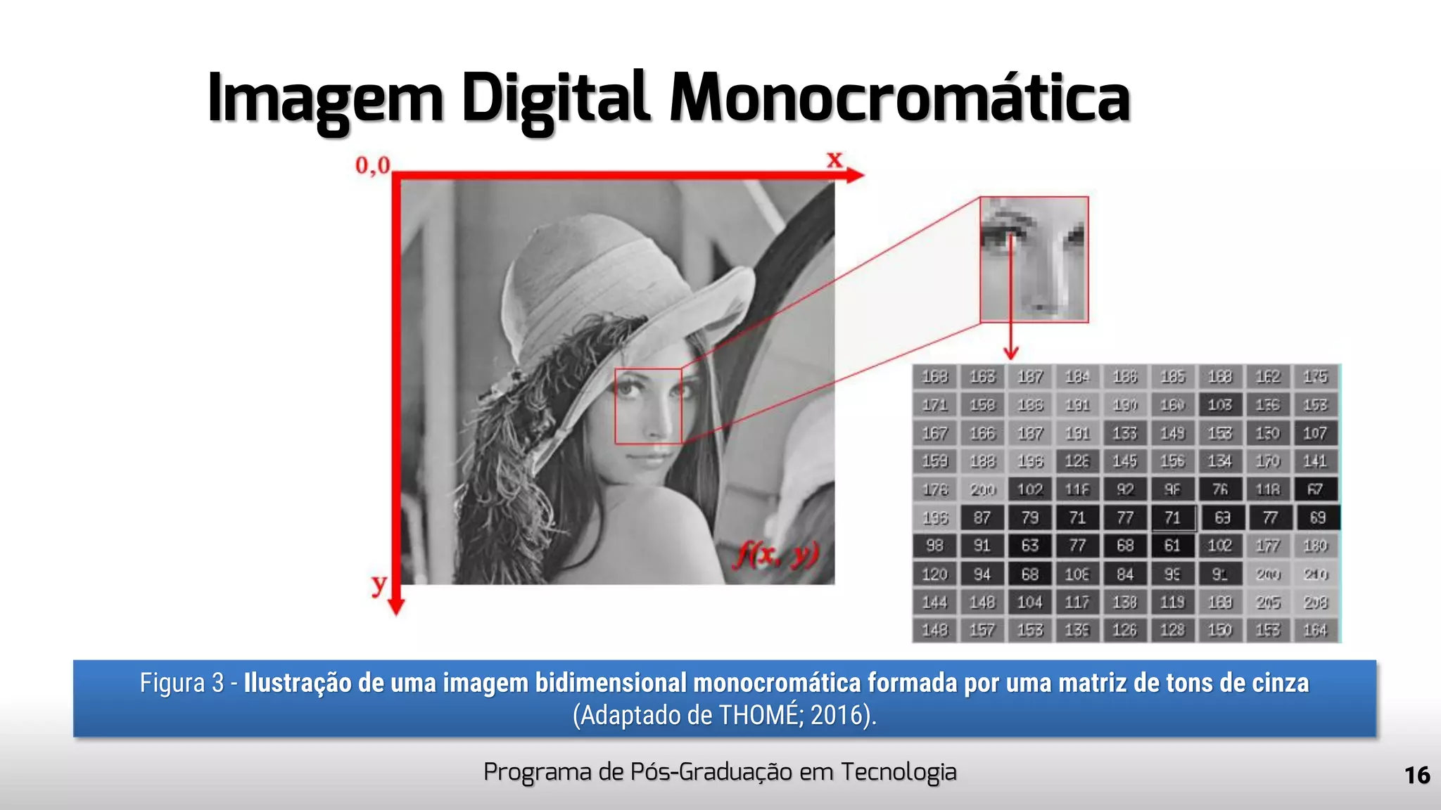 Imagem Digital Monocromática
Programa de Pós-Graduação em Tecnologia 16
Figura 3 - Ilustração de uma imagem bidimensional monocromática formada por uma matriz de tons de cinza
(Adaptado de THOMÉ; 2016).
 