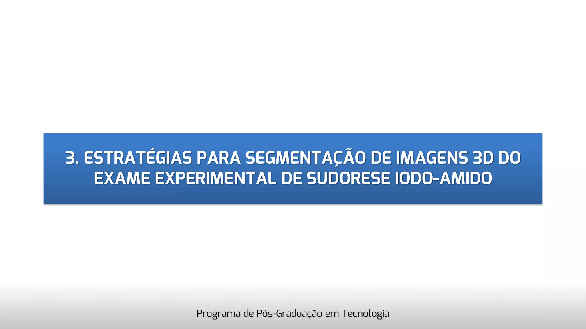 3. ESTRATÉGIAS PARA SEGMENTAÇÃO DE IMAGENS 3D DO
EXAME EXPERIMENTAL DE SUDORESE IODO-AMIDO
Programa de Pós-Graduação em Tecnologia
 