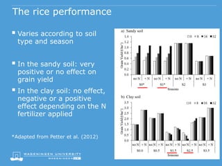 The rice performance
 Varies according to soil
type and season
 In the sandy soil: very
positive or no effect on
grain yield
 In the clay soil: no effect,
negative or a positive
effect depending on the N
fertilizer applied
*Adapted from Petter et al. (2012)
a) Sandy soil
b) Clay soil
 