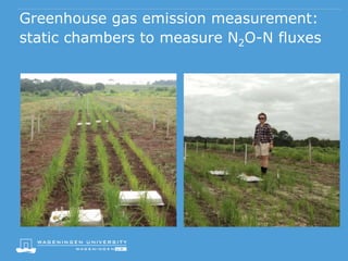 Greenhouse gas emission measurement:
static chambers to measure N2O-N fluxes
 
