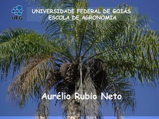 Aurélio Rubio Neto
UNIVERSIDADE FEDERAL DE GOIÁS
ESCOLA DE AGRONOMIA
 