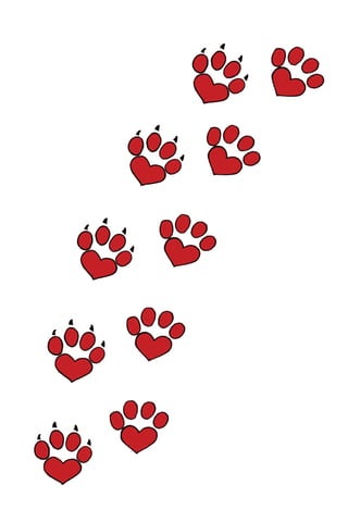 Cartilha Maus Tratos MPSP