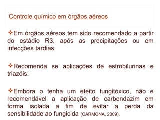Controle químico em órgãos aéreos

Em órgãos aéreos tem sido recomendado a partir
do estádio R3, após as precipitações ou em
infecções tardias.

Recomenda se aplicações de estrobilurinas e
triazóis.

Embora o tenha um efeito fungitóxico, não é
recomendável a aplicação de carbendazim em
forma isolada a fim de evitar a perda da
sensibilidade ao fungicida (CARMONA, 2009).
 
