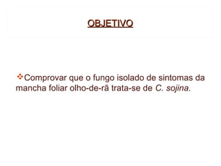 OBJETIVO




Comprovar que o fungo isolado de sintomas da
mancha foliar olho-de-rã trata-se de C. sojina.
 