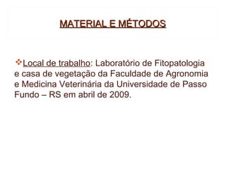 MATERIAL E MÉTODOS



Local de trabalho: Laboratório de Fitopatologia
e casa de vegetação da Faculdade de Agronomia
e Medicina Veterinária da Universidade de Passo
Fundo – RS em abril de 2009.
 