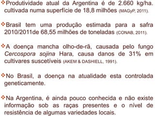 Produtividade atual da Argentina é de 2.660 kg/ha.
 cultivada numa superfície de 18,8 milhões (MAGyP, 2011).

Brasil tem uma produção estimada para a safra
 2010/2011de 68,55 milhões de toneladas (CONAB, 2011).

A doença mancha olho-de-rã, causada pelo fungo
 Cercospora sojina Hara, causa danos de 31% em
 cultivares suscetíveis (AKEM & DASHIELL, 1991).

No Brasil, a doença na atualidade esta controlada
 geneticamente.

Na Argentina, é ainda pouco conhecida e não existe
 informação sob as raças presentes e o nível de
 resistência de algumas variedades locais.
 