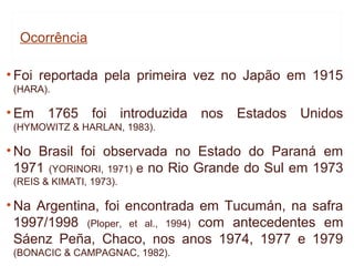 Ocorrência

• Foi reportada pela primeira vez no Japão em 1915
 (HARA).

• Em 1765 foi introduzida nos Estados Unidos
 (HYMOWITZ & HARLAN, 1983).

• No Brasil foi observada no Estado do Paraná em
  1971 (YORINORI, 1971) e no Rio Grande do Sul em 1973
 (REIS & KIMATI, 1973).

• Na Argentina, foi encontrada em Tucumán, na safra
  1997/1998 (Ploper, et al., 1994) com antecedentes em
  Sáenz Peña, Chaco, nos anos 1974, 1977 e 1979
 (BONACIC & CAMPAGNAC, 1982).
 