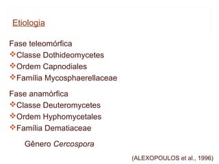 Etiologia

Fase teleomórfica
Classe Dothideomycetes
Ordem Capnodiales
Família Mycosphaerellaceae

Fase anamórfica
Classe Deuteromycetes
Ordem Hyphomycetales
Família Dematiaceae

   Gênero Cercospora
                              (ALEXOPOULOS et al., 1996)
 
