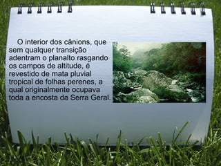      O interior dos cânions, que sem qualquer transição adentram o planalto rasgando os campos de altitude, é revestido de mata pluvial tropical de folhas perenes, a qual originalmente ocupava toda a encosta da Serra Geral. 