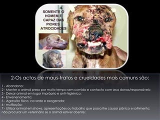 2-Os actos de maus-tratos e crueldades mais comuns são:1 - Abandono; 2 - Manter o animal preso por muito tempo sem comida e contacto com seus donos/responsáveis; 3 - Deixar animal em lugar impróprio e anti-higiénico; 4 - Envenenamento; 5 - Agressão física, covarde e exagerada; 6 - mutilação; 7 - Utilizar animal em shows, apresentações ou trabalho que possa lhe causar pânico e sofrimento; não procurar um veterinário se o animal estiver doente; 