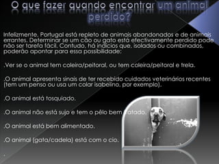 O que fazer quando encontrar um animal perdido?Infelizmente, Portugal está repleto de animais abandonados e de animais errantes. Determinar se um cão ou gato está efectivamente perdido pode não ser tarefa fácil. Contudo, há indícios que, isolados ou combinados, poderão apontar para essa possibilidade:.Ver se o animal tem coleira/peitoral, ou tem coleira/peitoral e trela. .O animal apresenta sinais de ter recebido cuidados veterinários recentes (tem um penso ou usa um colar isabelino, por exemplo). .O animal está tosquiado. .O animal não está sujo e tem o pêlo bem tratado. .O animal está bem alimentado. .O animal (gata/cadela) está com o cio. .