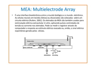 MEA: Multielectrode Array
•

É uma interface bioeletrônica entre o mundo biológico e o mundo eletrônico.
As células neurais em tecidos (fatias) ou dissociadas são colocadas sobre um
circuito elétrico (Rutten, 2001). Os eletrodos da MEA são também usados para
estimulação elétrica extracelular in vitro, aplicando pulsos controlados de
tensão ou corrente nos eletrodos. Pode-se medir e registrar através do
computador a resposta ao estímulo elétrico evocado ou, então, o sinal elétrico
espontâneo gerado pelas células.

 