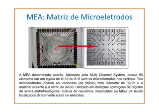 MEA: Matriz de Microeletrodos

A MEA denominada padrão, fabricado pela Multi Channel System, possui 60
eletrodos em um layout de 6×10 ou 8×8 sem os microeletrodos nos vértices. Tais
microeletrodos podem ser redondos (de titânio) com diâmetro de 30µm e o
material isolante é o nitrito de silício. Utilizado em múltiplas aplicações de registro
de sinais eletrofisiológicos: cultura de neurônios dissociados ou fatias de tecido
localizados diretamente sobre os eletrodos.

 