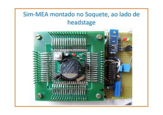 Sim-MEA montado no Soquete, ao lado de
headstage

 