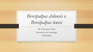 Brevipalpus chilensis e Brevipalpus lewisi 
Dr. Noeli Juarez Ferla 
Laboratório de Acarologia 
UNIVATES  