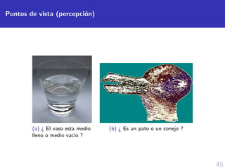 45
Puntos de vista (percepci´on)
(a) ¿ El vaso esta medio
lleno o medio vacio ?
(b) ¿ Es un pato o un conejo ?
 