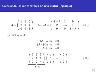 53
Calculando los autovectores de una matriz (ejemplo)
A =


1 1 0
2 0 1
0 0 3

 A − λI =


1 − λ 1 0
2 −λ 1
0 0 3 − λ

 (13)
I) Para λ = -1
(A - λ I)v =0
(A - (-1) I)v =0
(A + I)v =0


2 1 0
2 1 1
0 0 4


(A+I)


a
b
c

 =


0
0
0

 (14)
 