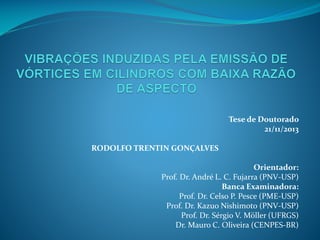 Tese de Doutorado
21/11/2013
RODOLFO TRENTIN GONÇALVES

Orientador:
Prof. Dr. André L. C. Fujarra (PNV-USP)
Banca Examinadora:
Prof. Dr. Celso P. Pesce (PME-USP)
Prof. Dr. Kazuo Nishimoto (PNV-USP)
Prof. Dr. Sérgio V. Möller (UFRGS)
Dr. Mauro C. Oliveira (CENPES-BR)

 