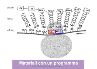Materiali con un programma
http://it.wikipedia.org/wiki/Ribosoma
 