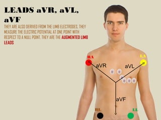LEADS aVR, aVL,
aVF
THEY ARE ALSO DERIVED FROM THE LIMB ELECTRODES, THEY
MEASURE THE ELECTRIC POTENTIAL AT ONE POINT WITH
RESPECT TO A NULL POINT. THEY ARE THE AUGMENTED LIMB
LEADS
RA LA
RL LL
aVR
aVF
aVL
 