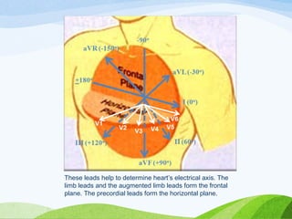 These leads help to determine heart’s electrical axis. The
limb leads and the augmented limb leads form the frontal
plane. The precordial leads form the horizontal plane.
 