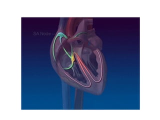 Defibrillation - Indication, Contraindications, Steps, Process.pptx