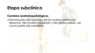 Etapa subclínica
Cambios anatomopatológicos
Disminución del volumen de la corteza prefrontal
derecha, del núcleo caudado y del globo pálido, así
como parte del cerebelo.
 