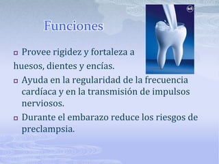 Funciones Provee rigidez y fortaleza a huesos, dientes y encías.Ayuda en la regularidad de la frecuencia cardíaca y en la transmisión de impulsos nerviosos.Durante el embarazo reduce los riesgos de preclampsia.