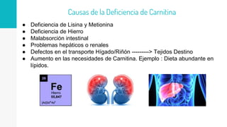 ● Deficiencia de Lisina y Metionina
● Deficiencia de Hierro
● Malabsorción intestinal
● Problemas hepáticos o renales
● Defectos en el transporte Hígado/Riñón ---------> Tejidos Destino
● Aumento en las necesidades de Carnitina. Ejemplo : Dieta abundante en
lípidos.
Causas de la Deficiencia de Carnitina
 
