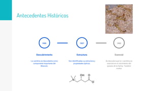 Antecedentes Históricos
Estructura
Son identificadas su estructura y
propiedades ópticas.
1927
Esencial
Se descubre que la L-carnitina es
esencial en el crecimiento del
gusano de la harina. Tenebrio
molitor
19521905
La carnitina es descubierta como
componente importante del
Músculo.
Descubrimiento
 